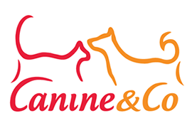 Canine & Co Corporate Cupcakes